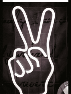 LED Neon Light, Acrylic Back Panel, Room Decoration Night Light