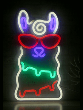 LED Neon Light, Acrylic Back Panel, Room Decoration Night Light