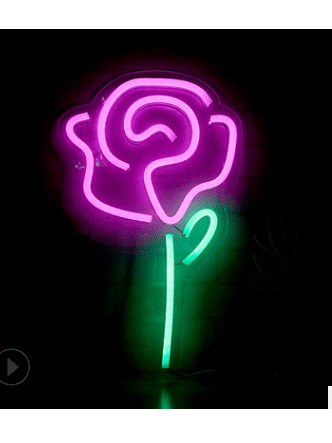 LED Neon Light, Acrylic Back Panel, Room Decoration Night Light